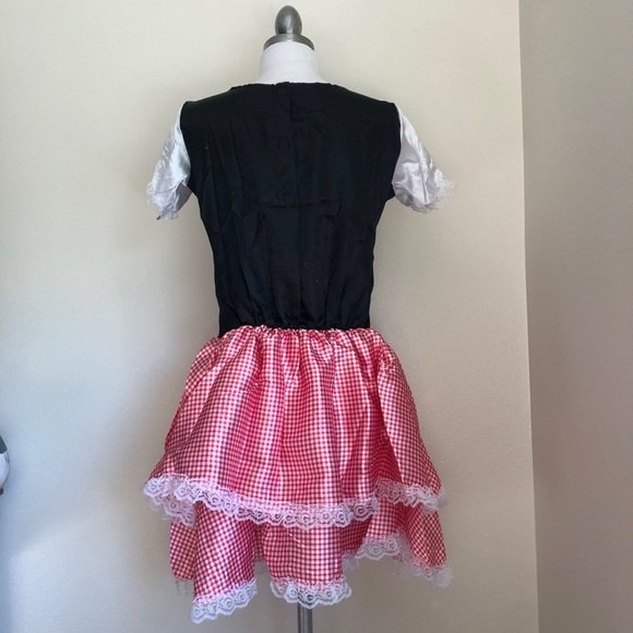 Beautiful Red Checkered Tyrolean Dirndl Dress - Picture 7 of 9